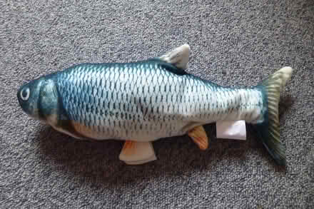 Photo of free Cat toy - flappy fish (Havant PO9) #1
