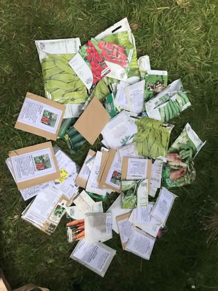 Photo of free Loads Of Unused Veg And Flower Seeds (Cottle's Oak BA11) #1