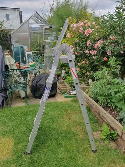 Photo of free Fold out ladder (Eastwood SS9) #2