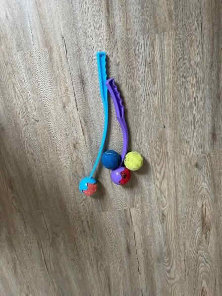 Photo of free Dog ball throwing sticks (Wallasey CH45) #1