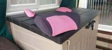 Photo of free Booster Seat (Hawley GU17) #1