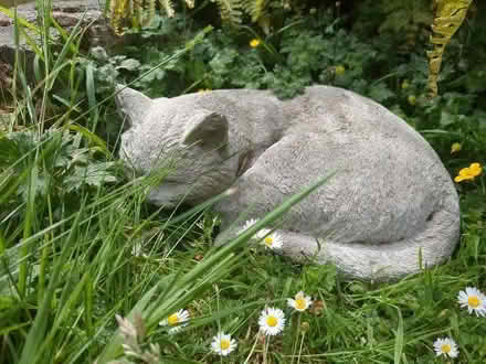 Photo of free Stone cat ornament (Woodley RG5) #1