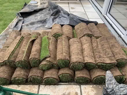 Photo of free 35 square metres of turf (Eaton NR4) #2