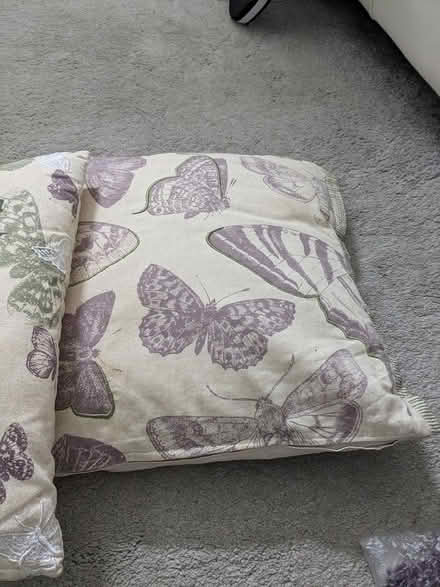 Photo of free Cushions (MK42) #2