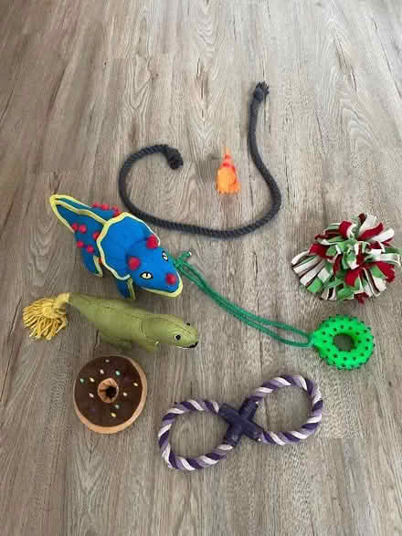 Photo of free Dog toys (Wallasey CH45) #1