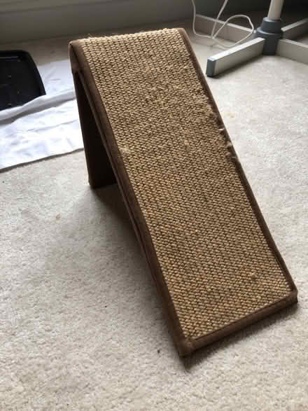 Photo of free cat scratch ramp (Germantown) #1