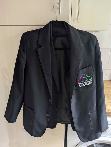 Photo of free Old logo Dame Elizabeth Blazers 32" & 34" (Stirchley B30) #1