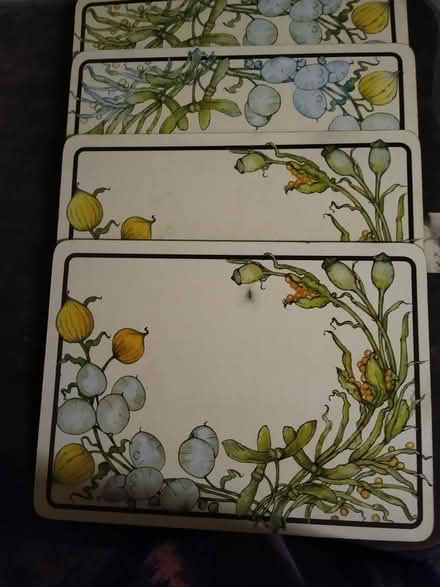 Photo of free 4 place mats (Upton CH49) #1