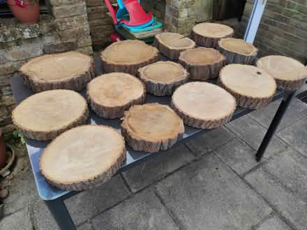 Photo of free 13 log slices (Harefield UB9) #1