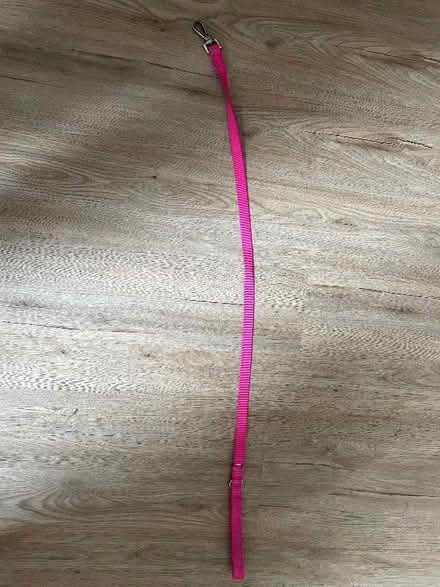 Photo of free Dog lead - pink (Wallasey CH45) #1