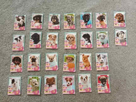 Photo of free Puppies and Me cards (AL4) #2