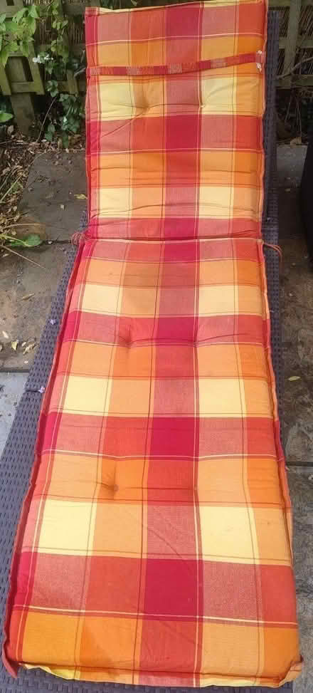 Photo of free 2 x lounger cushions (Amersham Common HP7) #2