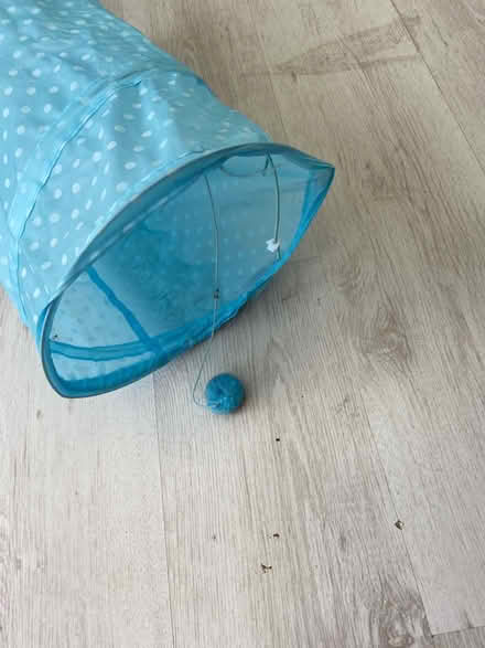 Photo of free Cat tunnel (BR3) #1