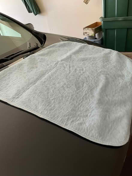 Photo of free 4 Reusable bed underpads (Roselle) #2