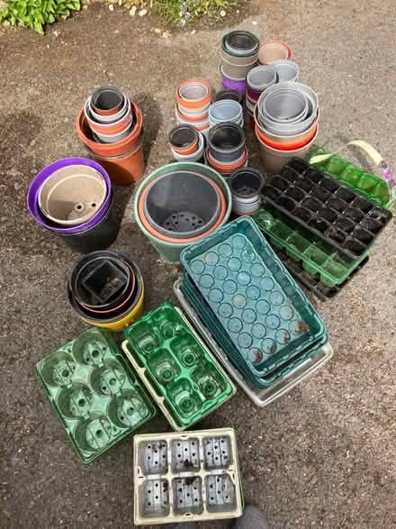 Photo of free Flower pots and seed trays (Cam GL11) #1
