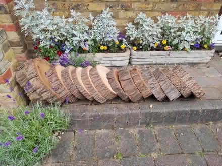 Photo of free 13 log slices (Harefield UB9) #2