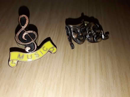Photo of free School badges (Hartlepool TS25) #1
