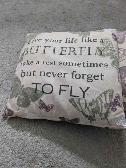 Photo of free Cushions (MK42) #1
