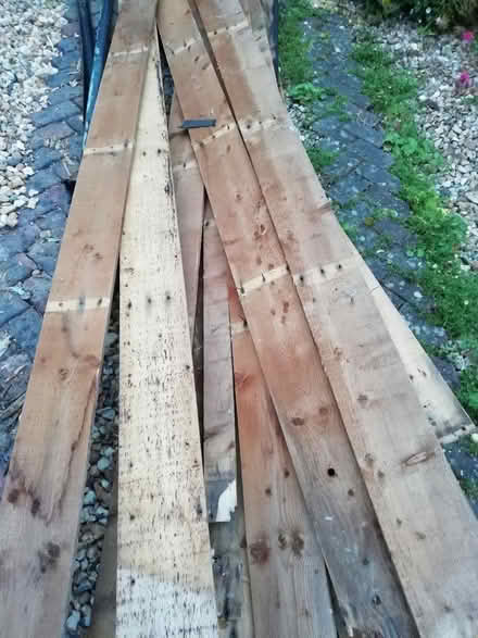 Photo of free Planks of wood (Wallands Park BN7) #1