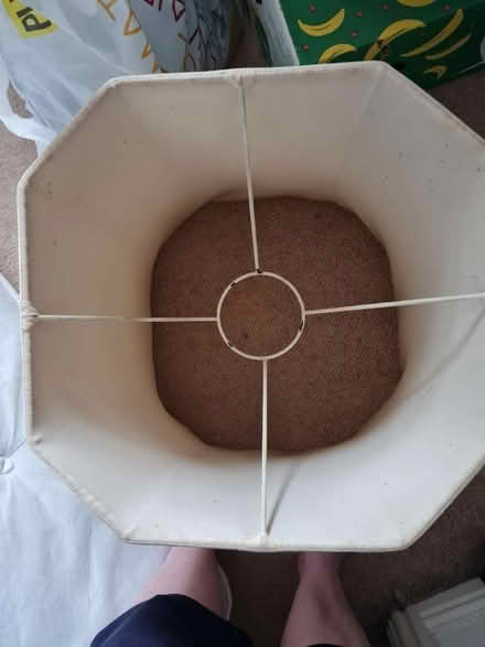 Photo of free Large lamp shade (ME9) #2