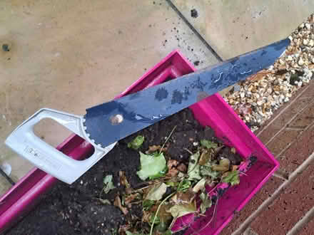 Photo of free Saw (Wokingham RG40) #1