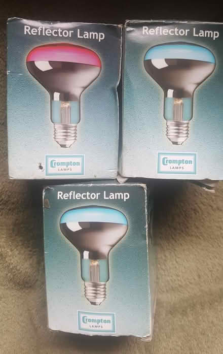 Photo of free 3 x Reflector lamps BL2 (Breightmet BL2) #1