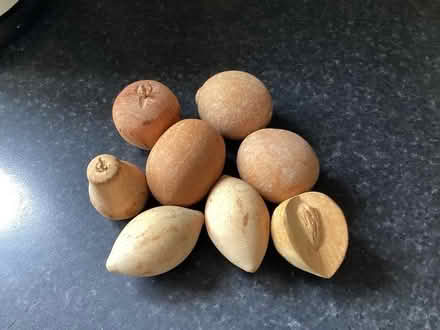 Photo of free Wooden Fruit (Penrith CA11) #1