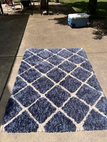 Photo of free Blue shag rug (Edgebrook) #1