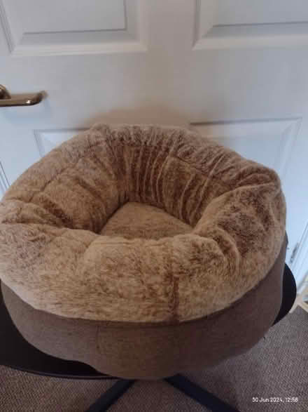 Photo of free Small pet bed (Southport PR8) #1