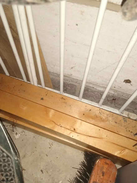 Photo of free Table Legs (Fair Oak SO50) #1