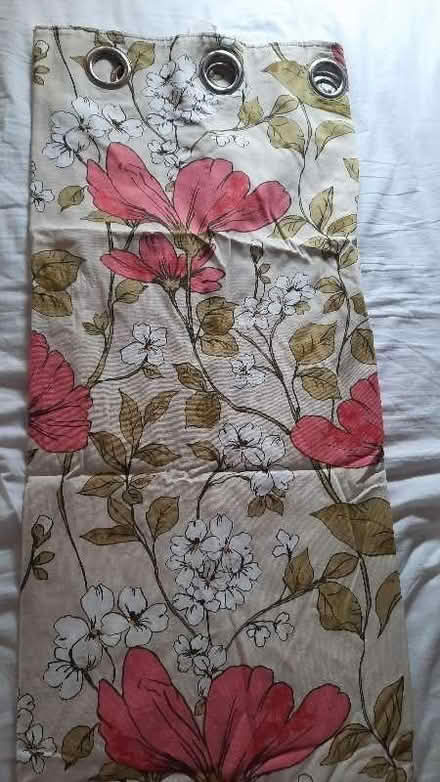 Photo of free Eyelet lined curtains x 4 (Abbey Wood SE2) #1