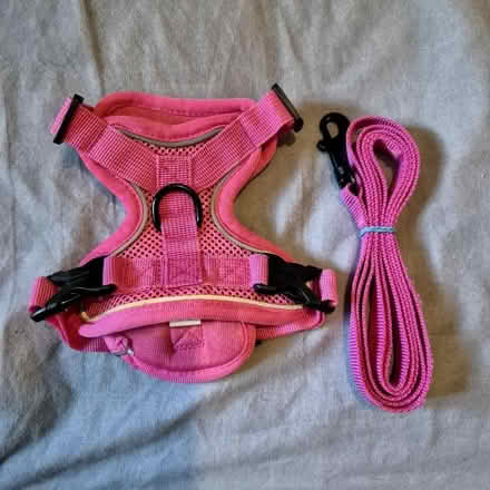 Photo of free Puppy harness and lead (Bellingham SE6) #1
