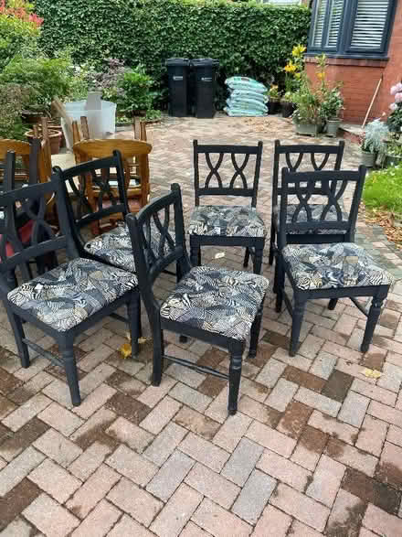 Photo of free Ducal dining chairs x 6 (Great Moor SK7) #1