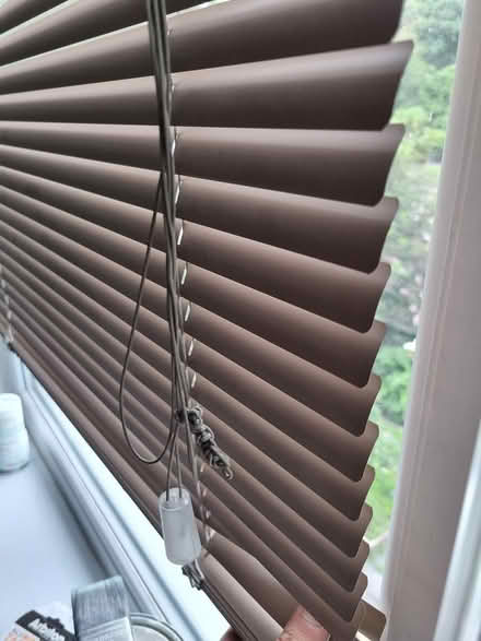 Photo of free Brown window blinds (Meersbrook S2) #1