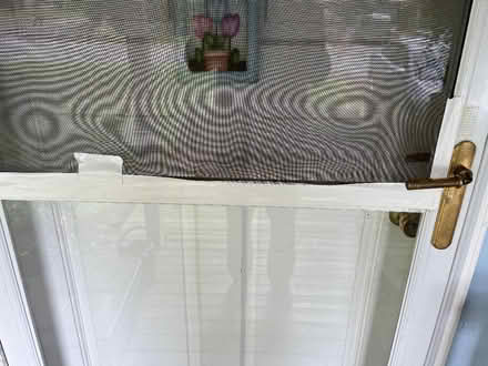 Photo of free Glass Screen Door ~36x82 (Woodinville) #2