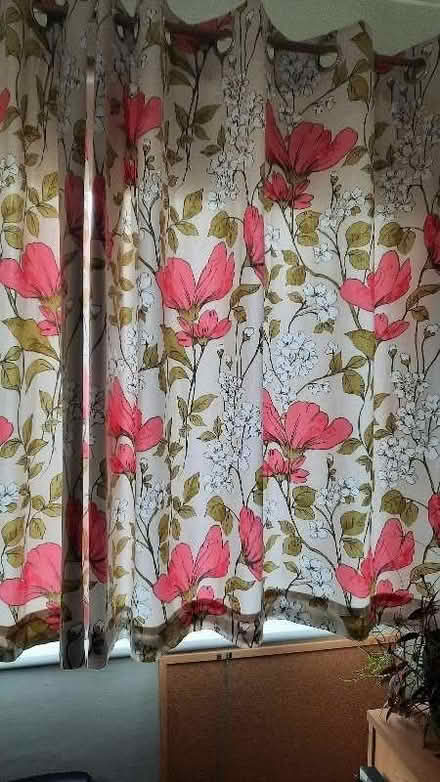 Photo of free Eyelet lined curtains x 4 (Abbey Wood SE2) #3