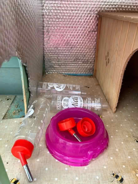 Photo of free Green wooden hutch (N11) #4
