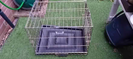 Photo of free Dog cage (Heatherton) #1