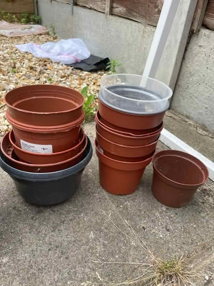 Photo of free Flower pots / several (Leytonstone) #3