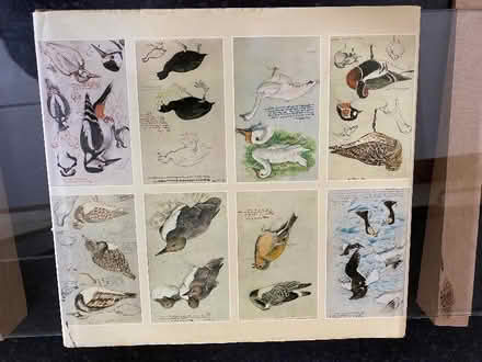 Photo of free Bird sketch book (CT10) #3