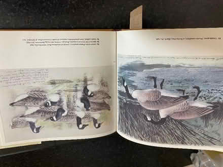 Photo of free Bird sketch book (CT10) #2