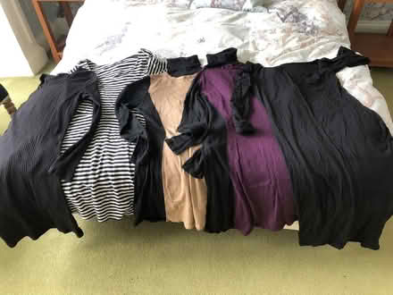 Photo of free Size 12 dresses (10 in total) (Stirling FK8) #1