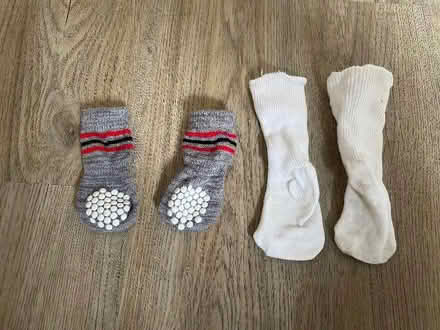 Photo of free Puppy/small dog socks (Wallasey CH45) #1