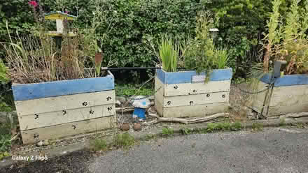 Photo of free Wooden Planters x 3 (Llanddulas LL22) #2