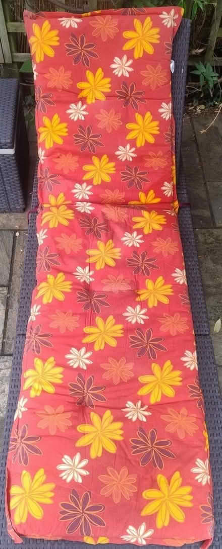 Photo of free 2 x lounger cushions (Amersham Common HP7) #1