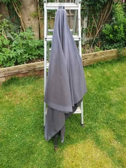 Photo of free Umbrella (Eastwood SS9) #1