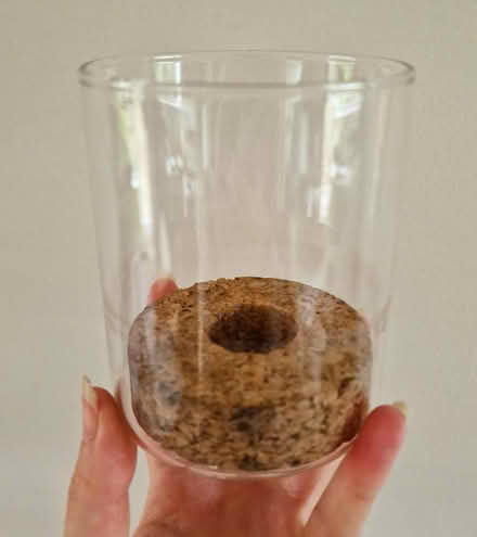 Photo of free Avocado Pit Grower (Woking GU22 9) #1