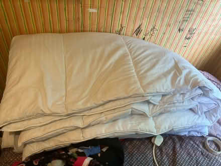 Photo of free Superking quilt (SE17) #1