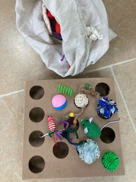 Photo of free Bag of kitty toys (Uley) #1