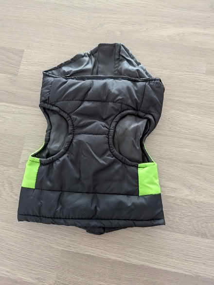 Photo of free Dog coat (Huntley) #2